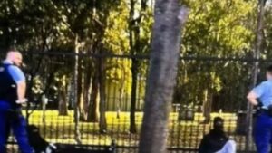 Three men charged, shotgun and jerry cans seized in Sydney