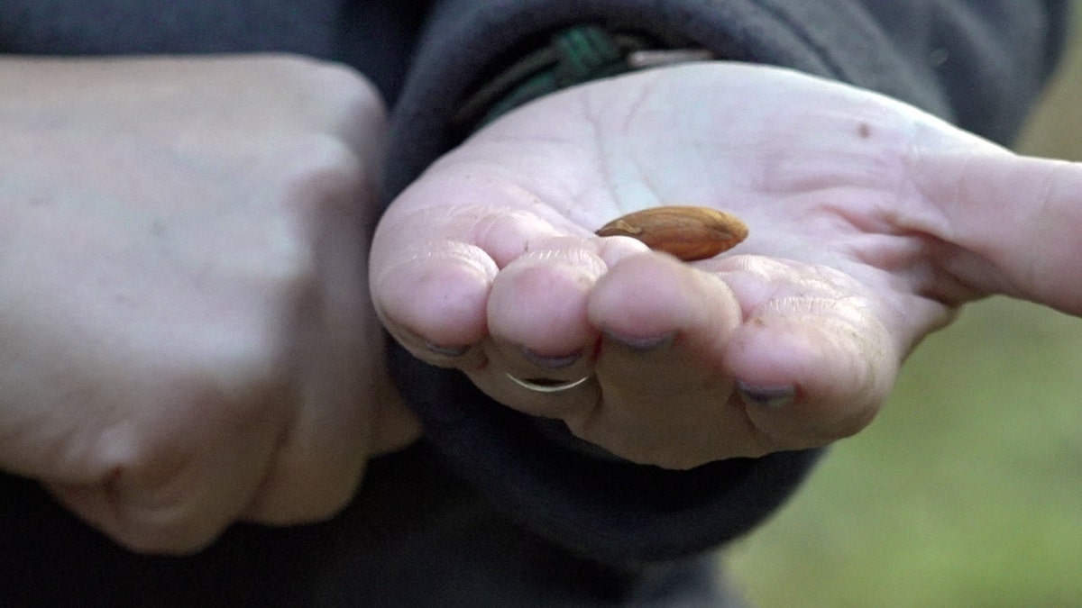 Jenny Holtermann is a 4th-generation California farmer. She's worried about how Prop 50 will affect rural representation in the state.