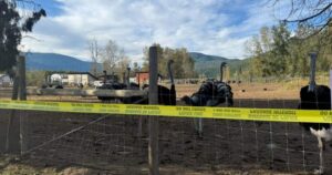 Death at B.C. ostrich farm deemed ‘not suspicious,’ say RCMP