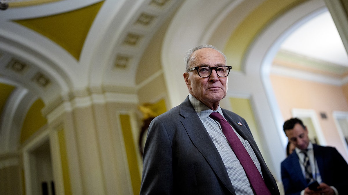 Chuck Schumer at the Capitol