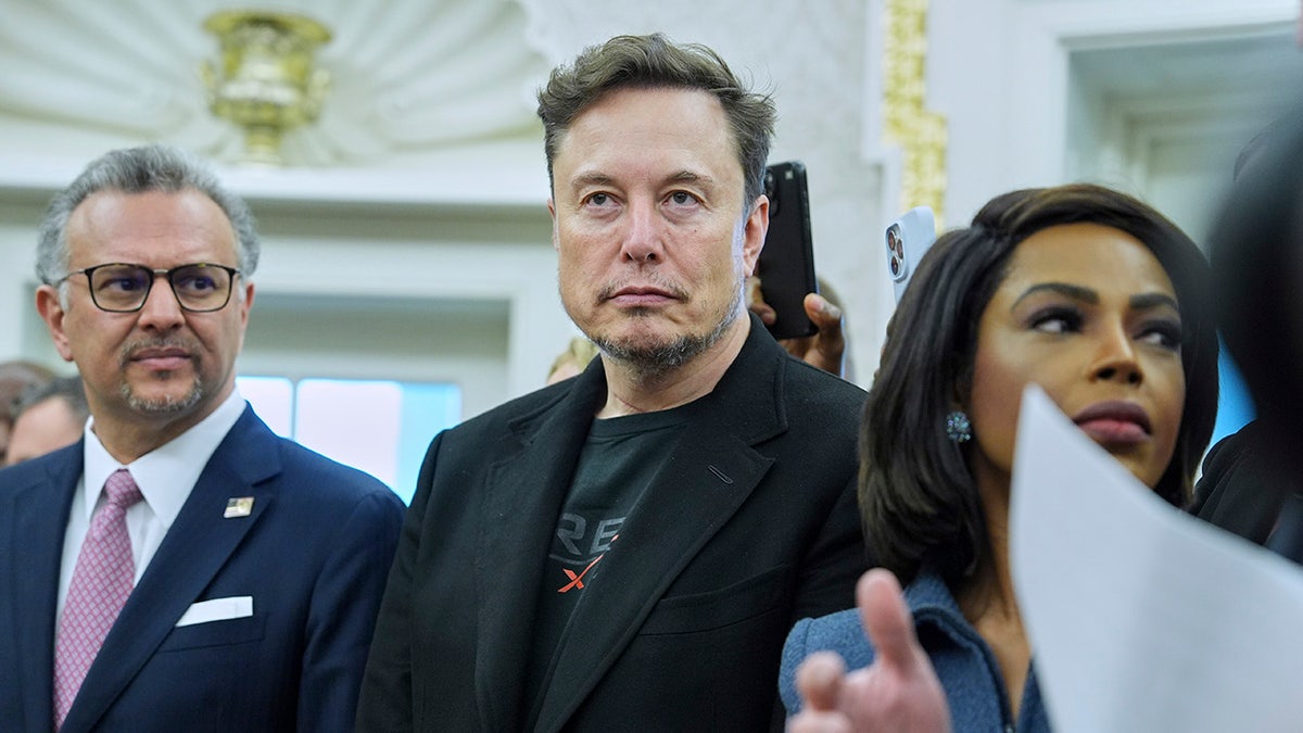Elon Musk at White House
