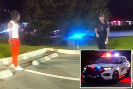 Florida man, 18, arrested on DUI charge on Halloween while dressed as prison inmate: video