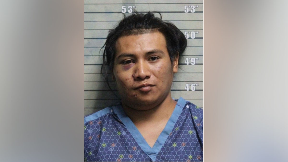 Johen Perez-Ventura mugshot