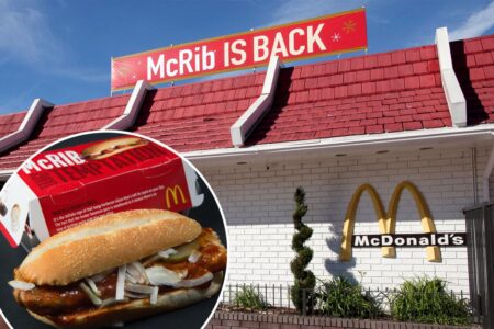 McDonald’s brings back the McRib nationwide with fans cheering and critics groaning