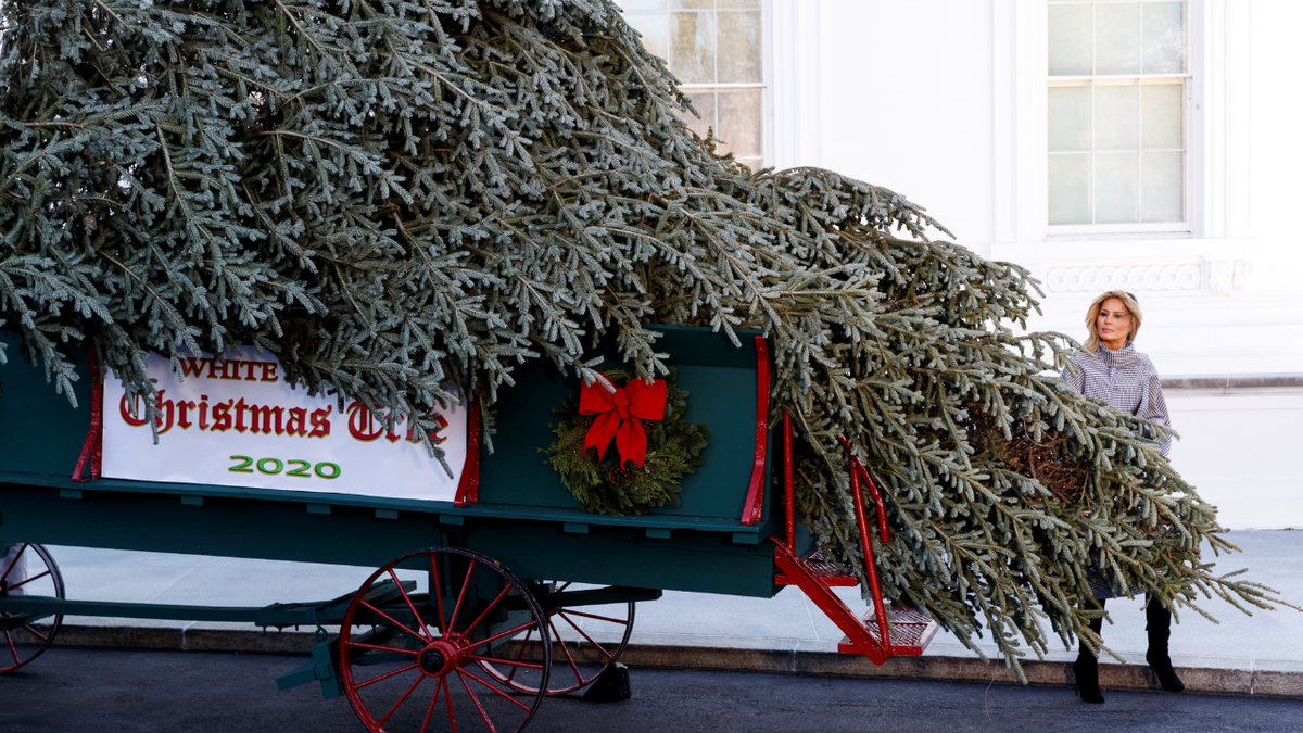 U.S. first lady Melania Trump welcomes the arrival of the White House Christmas Tree in 2020.