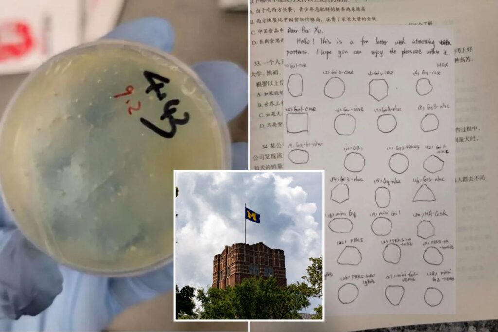 3 more Chinese researchers at University of Michigan charged over alleged effort to smuggle biological materials: ‘Alarming pattern’