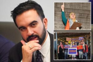 Zohran Mamdani backing controversial CAIR-linked NY assembly candidate – who has made disturbing 9/11 comments