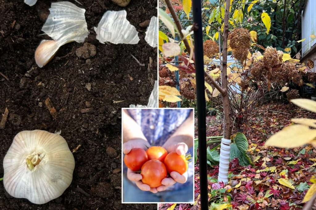 These fall garden chores will make your spring easier
