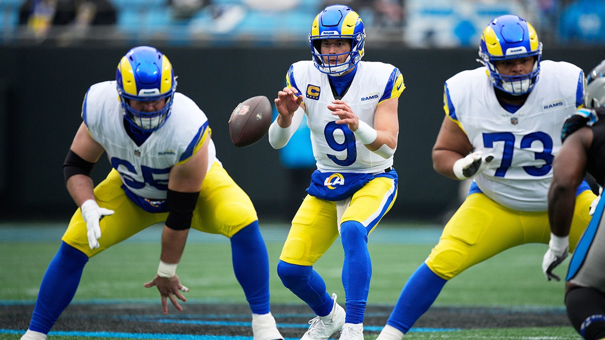 Matthew Stafford takes the snap