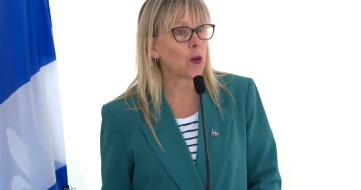 Expelled CAQ member of Quebec legislature slams government over doctor payment bill