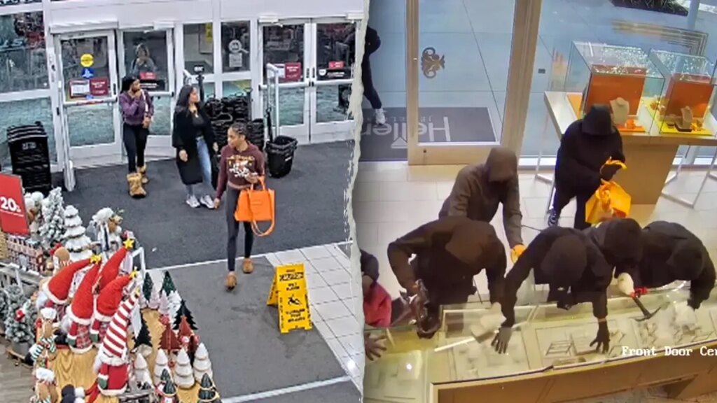 Black Friday theft threat turns holiday weekend into shoplifters' 'Super Bowl': former detective