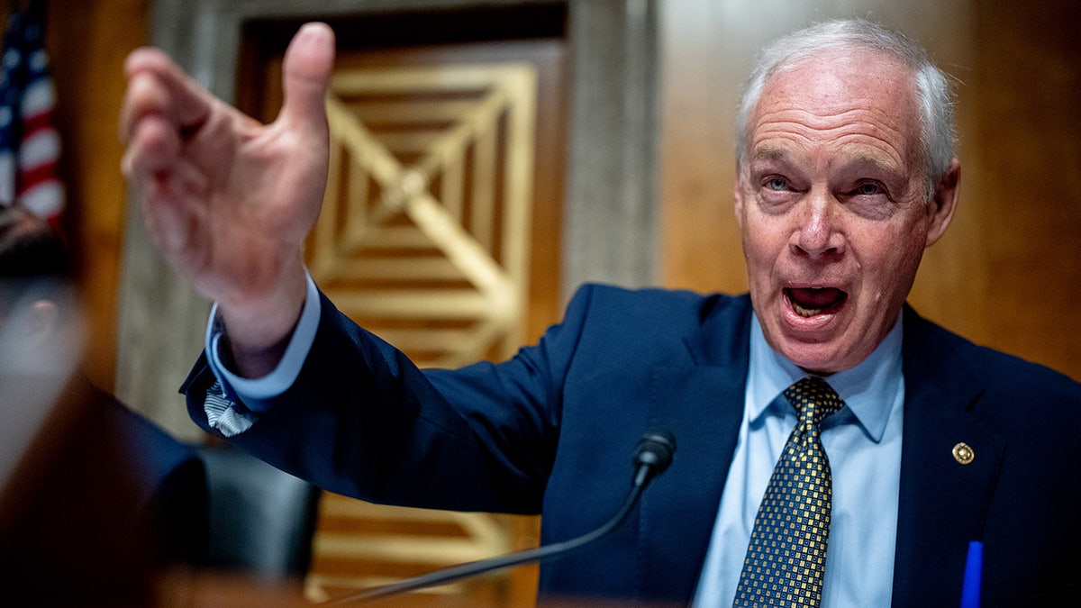 Ron Johnson speaks at a Senate hearing