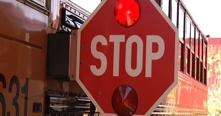 Child struck after car failed to stop for school bus in Ottawa Valley