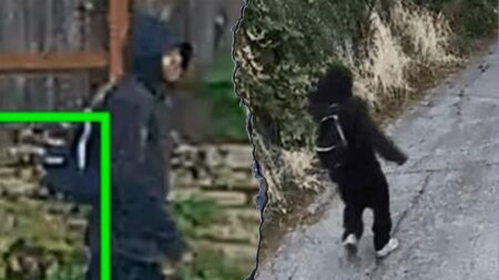 Seattle robber bites off 88-year-old woman's finger during violent robbery, police say