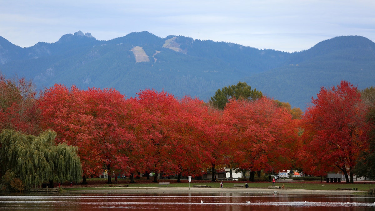 Mountains near Trout Lake, Canada