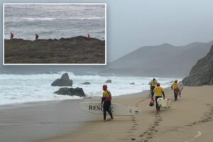 Body of 7-year-old girl whose dad died trying to save her when was swept away off Calif. coast recovered