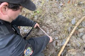 B.C. conservation officers capture 4 more bears in attack investigation