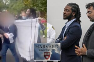 Harvard hires Divinity School graduate who faced assault charges against an Israeli student at a protest