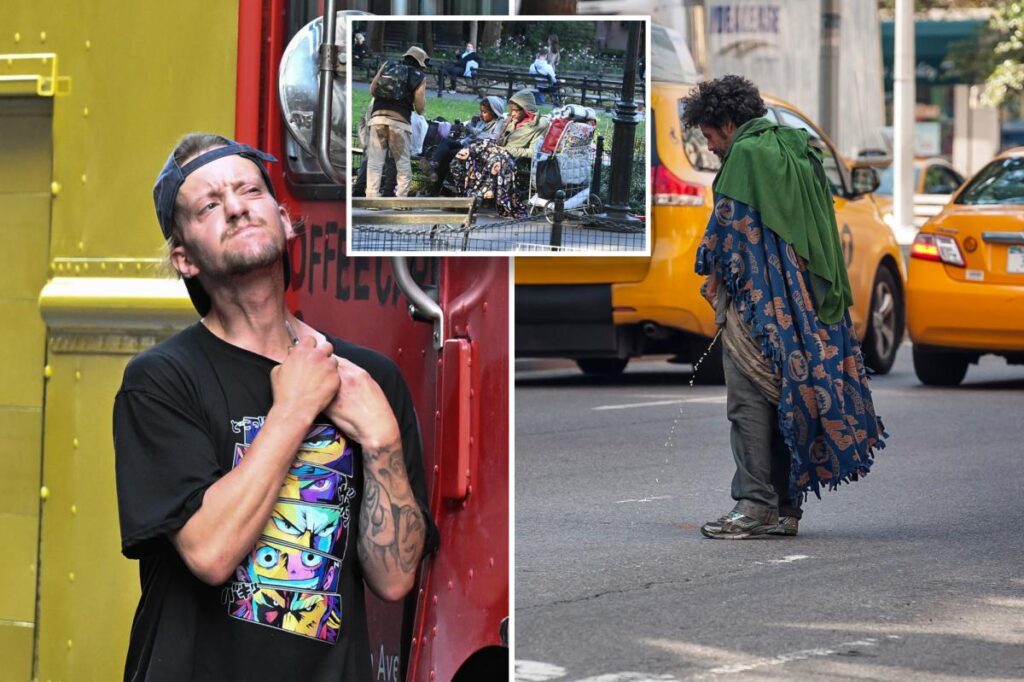 Exclusive | Public urination, drug use, other NYC quality-of-life complaints are surging and will only get worse under Mamdani: critics