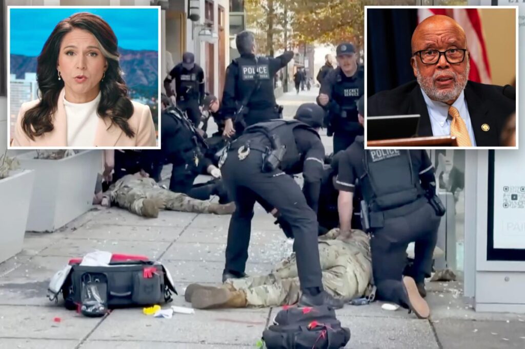 Tulsi Gabbard rips Dem rep for ‘infuriating’ claim DC National Guard shooting was ‘unfortunate accident’