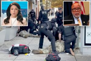 Tulsi Gabbard rips Dem rep for ‘infuriating’ claim DC National Guard shooting was ‘unfortunate accident’