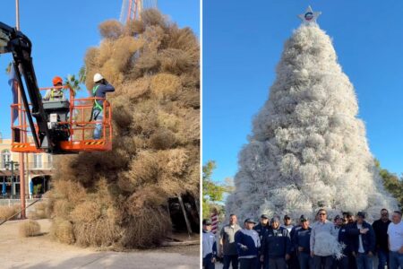 Christmas in this Arizona town comes with tumbleweeds — not evergreens: ‘We are extremely proud of our tree’