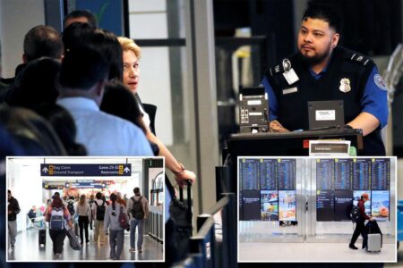 Airports allow non-traveling public past security entrances for first time in decades