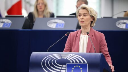 Von der Leyen warns of EU's 'dangerous' reality ahead of crunch summit
