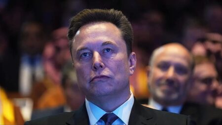Musk vs the EU: Fact-checking the billionaire's X claims on Europe