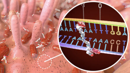 How a bacterial toxin linked to colon cancer messes with DNA