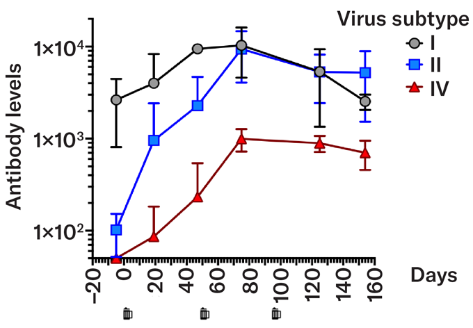 A graph showing antibody levels to certain subtypes of a virus after drinking a beer meant to stimulate the body to make antibodies.