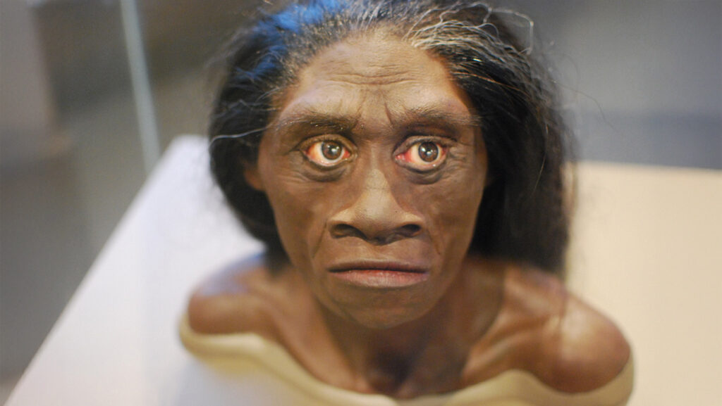 Drought may have doomed the ‘hobbits’ of Flores