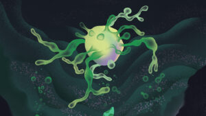 How these strange cells may explain the origin of complex life