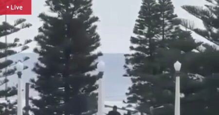 Jewish Chanukah by the Sea celebration attacked; 12 confirmed dead; shooters yet to be identified; Anthony Albanese, Chris Minns respond