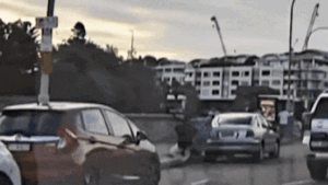 Four heroes tried to stop the Bondi terrorists. Three paid with their lives