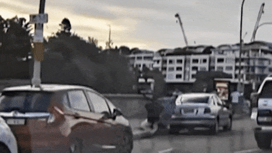 Four heroes tried to stop the Bondi terrorists. Three paid with their lives