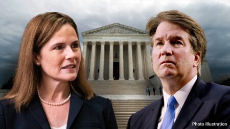Dem Senate candidate faces backlash after violent fantasy against conservative SCOTUS justices goes viral