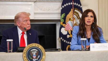 DHS packages latest ICE arrests as 'Christmas gift to Americans'