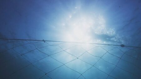 Shark-spotting drones to patrol popular surfing spots