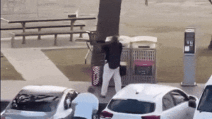 Ahmed el Ahmed identified as hero bystander in Bondi Beach shooting tackling gunman in incredible footage