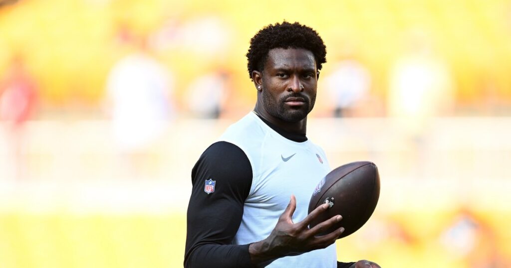 Pittsburgh Steelers’ DK Metcalf Has Altercation With Fan in Stands During Detroit Lions Game