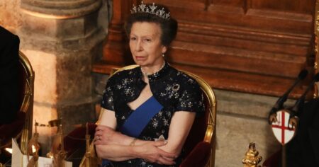 Princess Anne Wears Her Favorite Diamond Festoon Tiara at State Banquet — Along With Her Signature Hairstyle