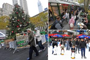 6-year-old slapped in face during unprovoked assault at Bryant Park winter market