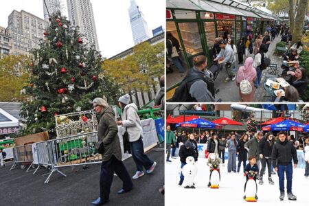 6-year-old slapped in face during unprovoked assault at Bryant Park winter market