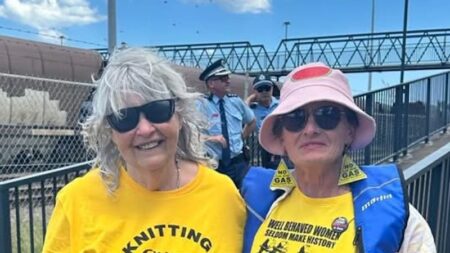 Journalist Wendy Bacon arrested at Newcastle coal port protest