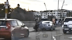 Bystanders seen confronting Australian gunman during ISIS-inspired deadly rampage