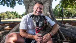 The wellness industry is coming for your cats and dogs