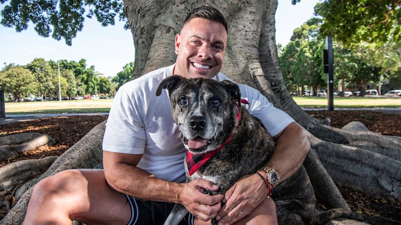 The wellness industry is coming for your cats and dogs