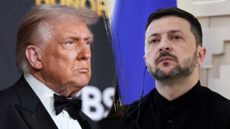 Ukraine's Zelenskyy yet to read peace plan, Trump says