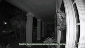 WATCH: Three Florida teenagers arrested in viral ‘door kick challenge’ targeting homeowners